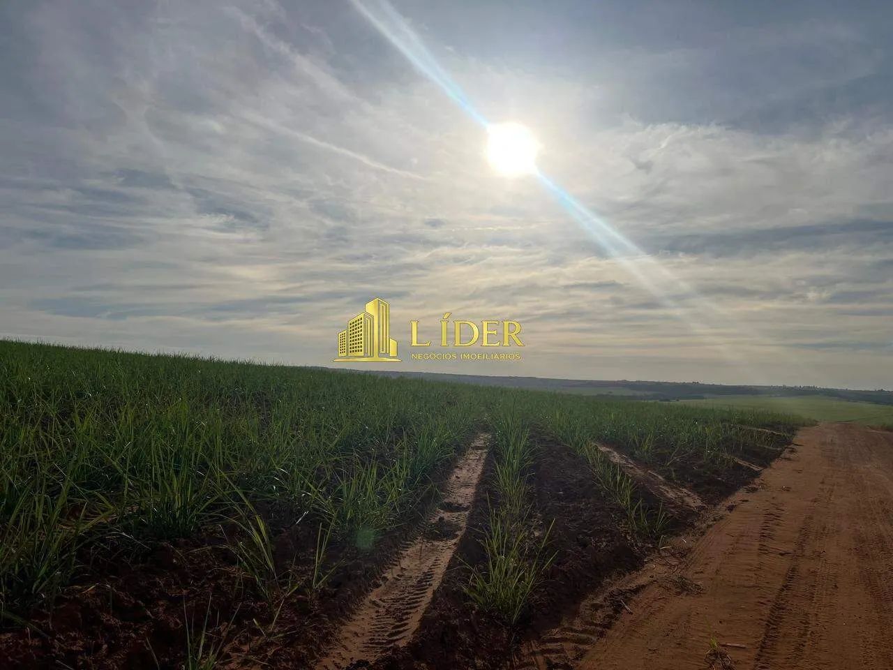 Fazenda à venda, Centro - Uberlândia/MG - Foto 4