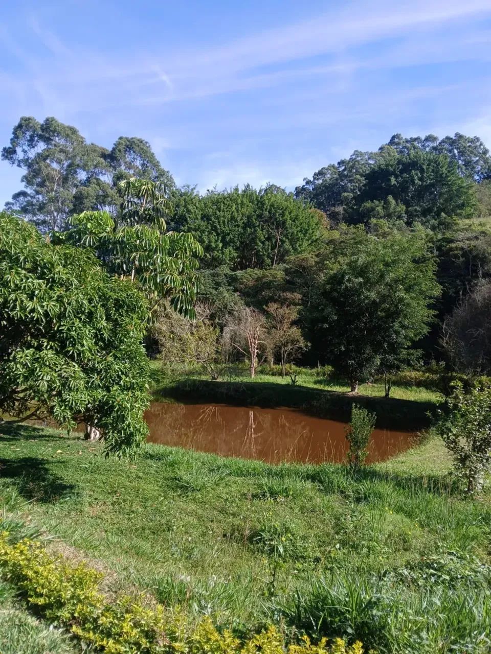SÍTIO CHARMOSO COM LAGO - Foto 3