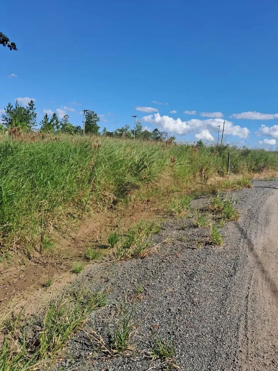 Terreno em Guararema aceito propostas - Foto 4