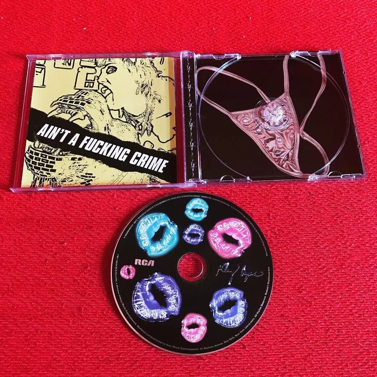 Plastic Hearts - importado 