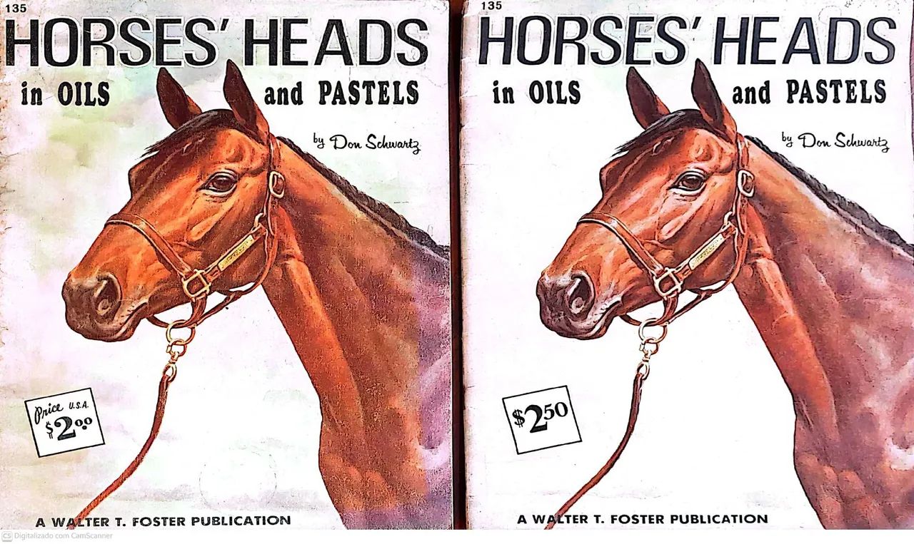 2 Livros de Pintura de Arte Schwartz 1965 e cabeças de cavalo (usado) N°135 R$ 100,00 cada - Foto 3