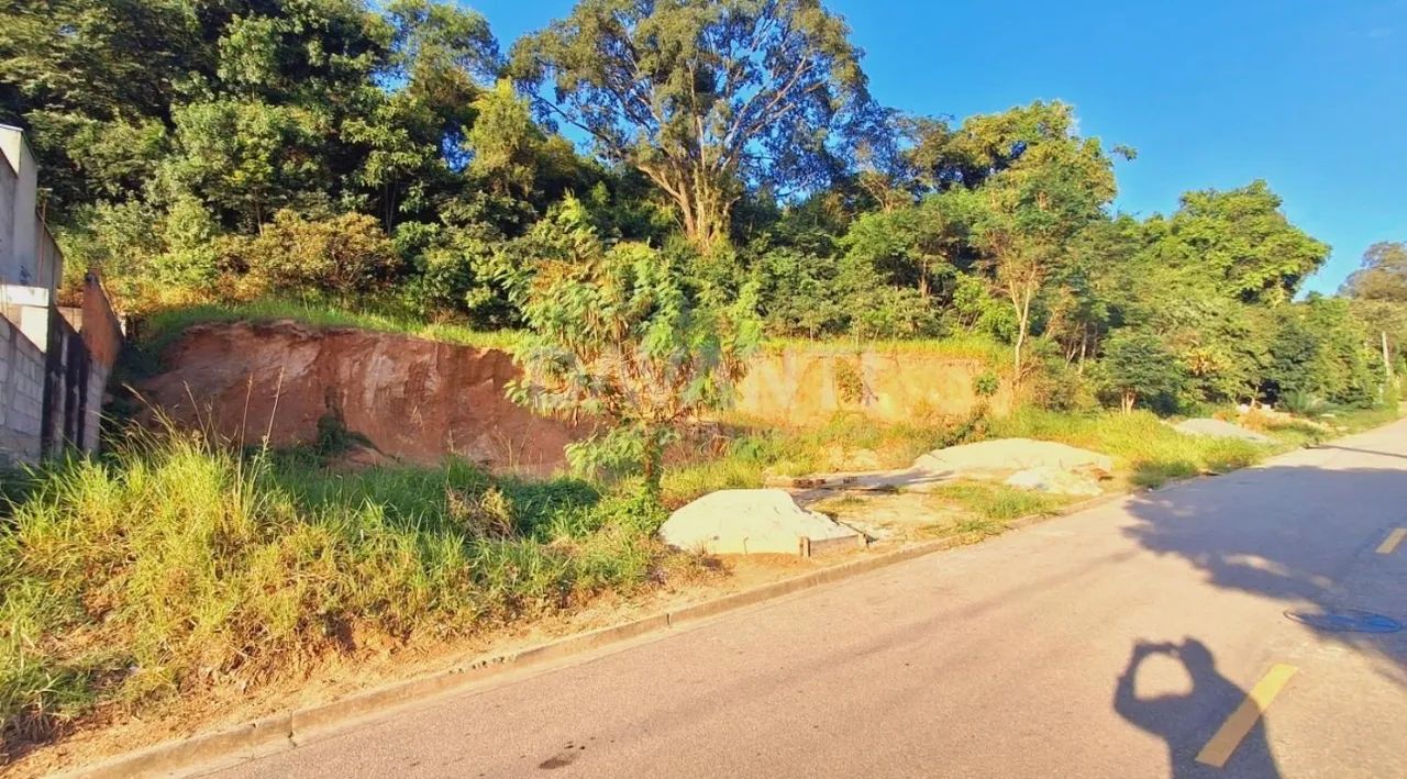 Foto - Vinhedo - Vista Alegre