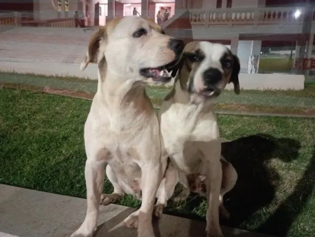 Doação 