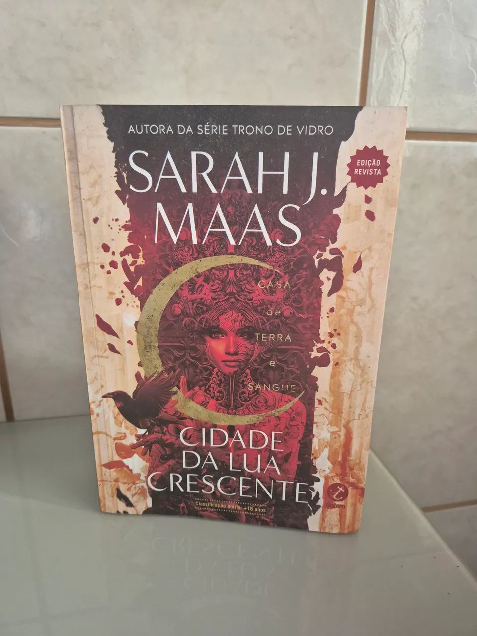 Livro saga Cidade da Lua Crescente  - Foto 3