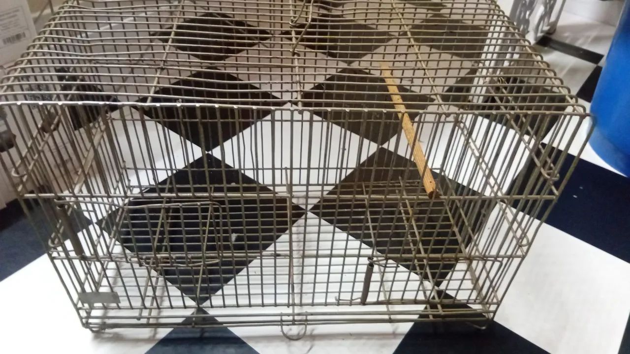 Gaiolas lote com 5 ,tudo por 300 reais