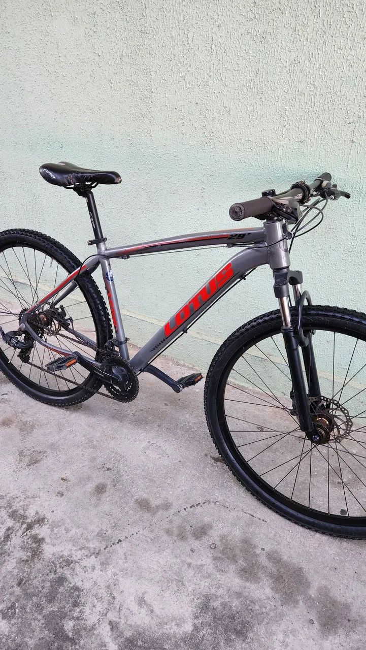 Bicicleta MTB Aro29 - LOTUS (usada)