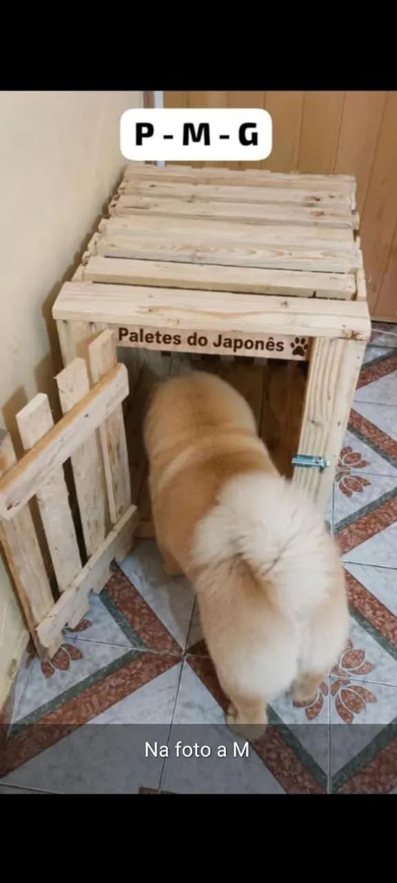 Caixa de transporte Pet  - Foto 2