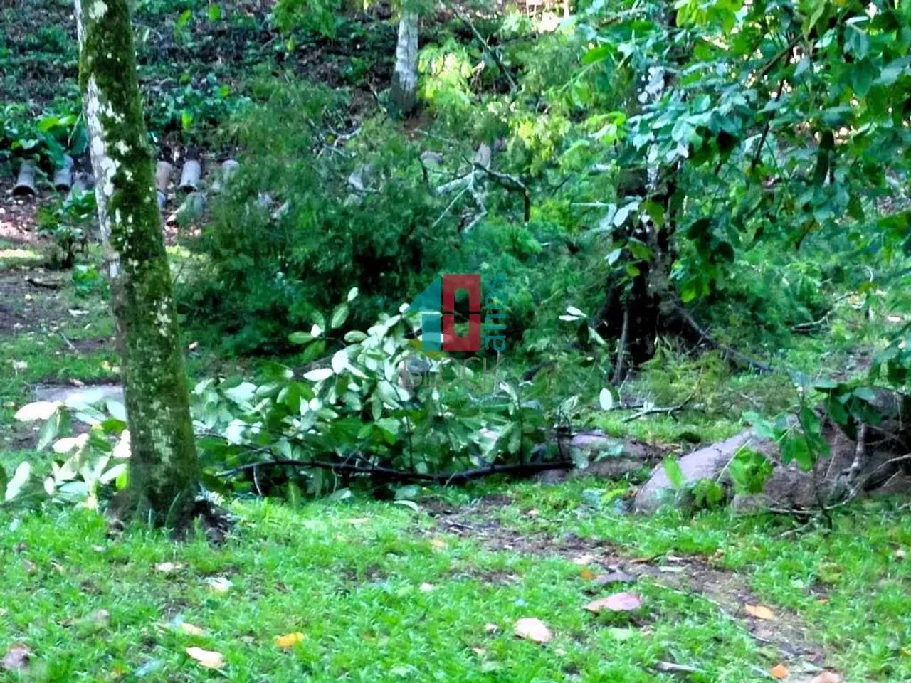 Vargem Grande | Terreno - Foto 5