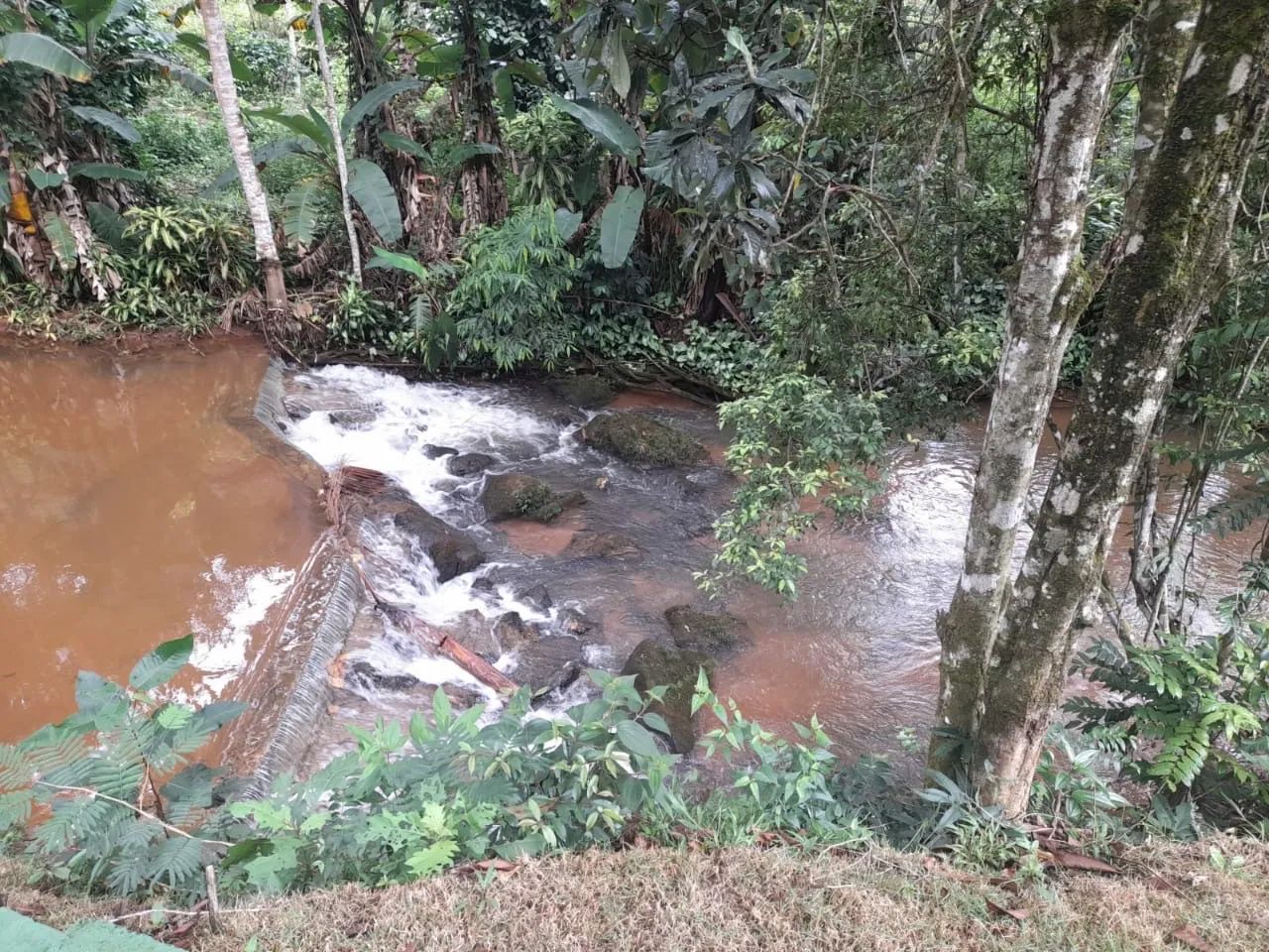 Foto - Santa Leopoldina - 