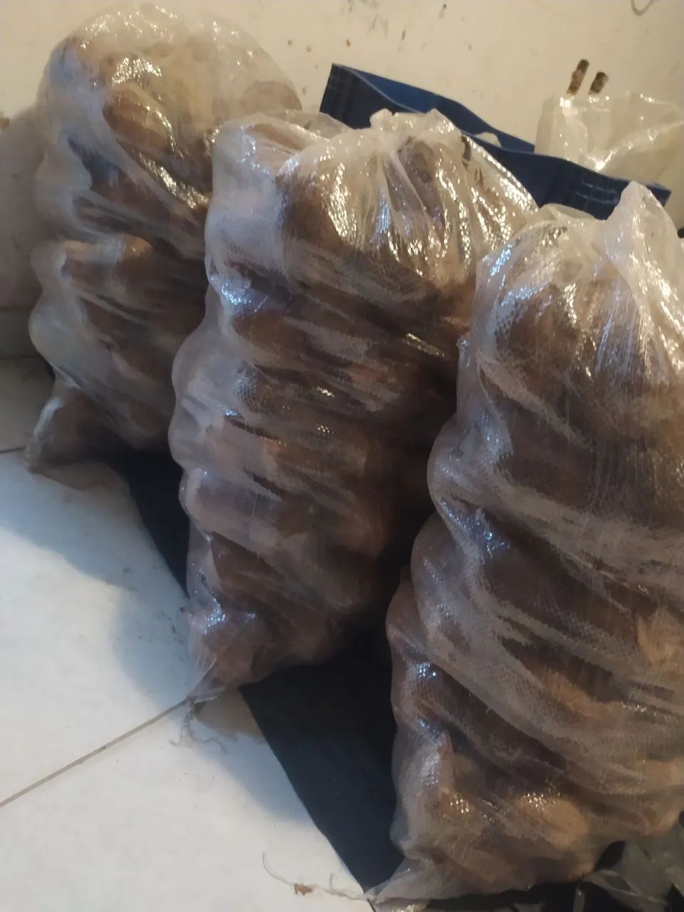 Vendo coco seco