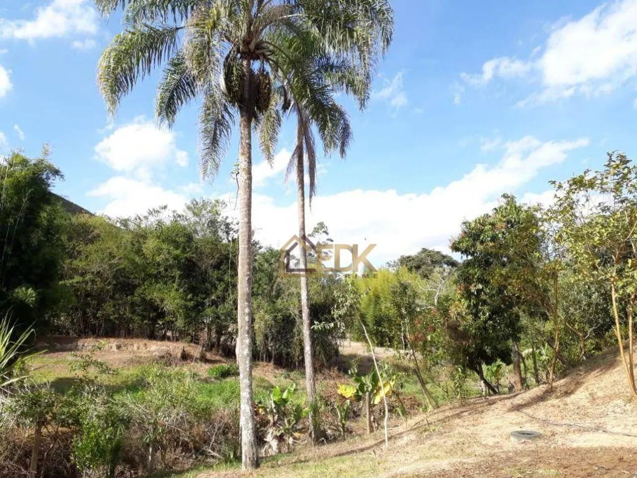 Chácara à Venda em São Luiz do Paraitinga/SP - Foto 2
