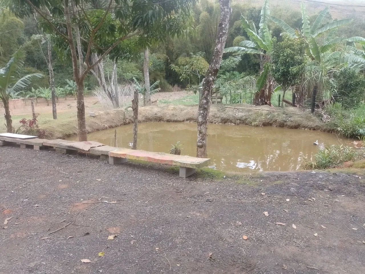 Vendo chácara de Porteira fechada - Foto 5