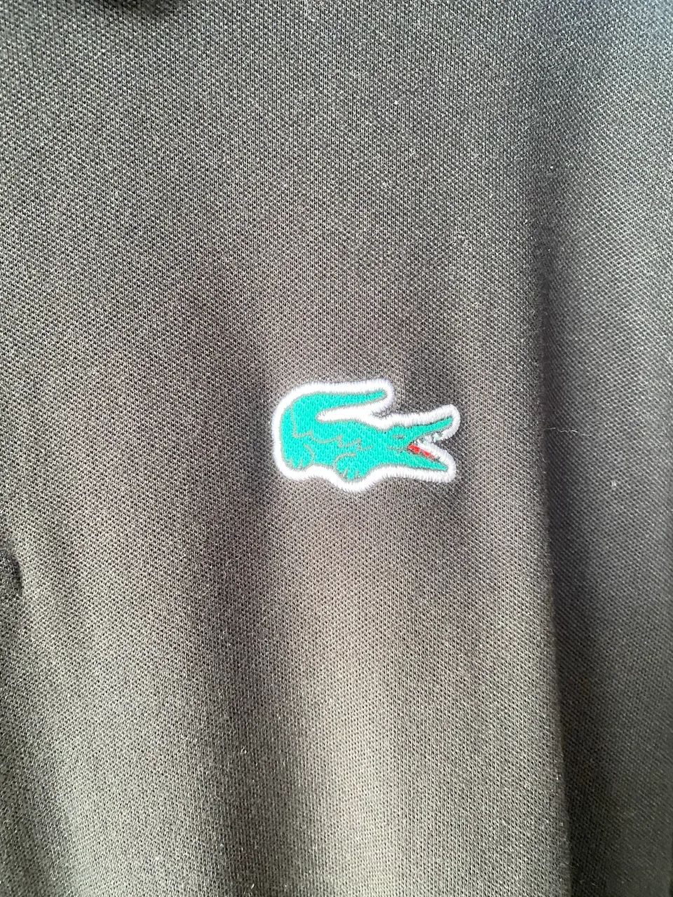 Polo Lacoste live - Foto 4