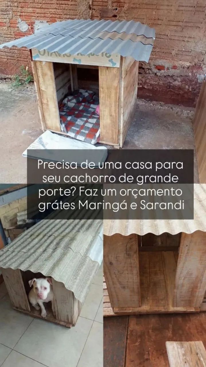 Casinha de cachorro e armário  - Foto 4
