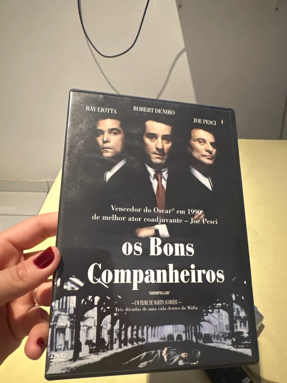 DVD os bons companheiros 