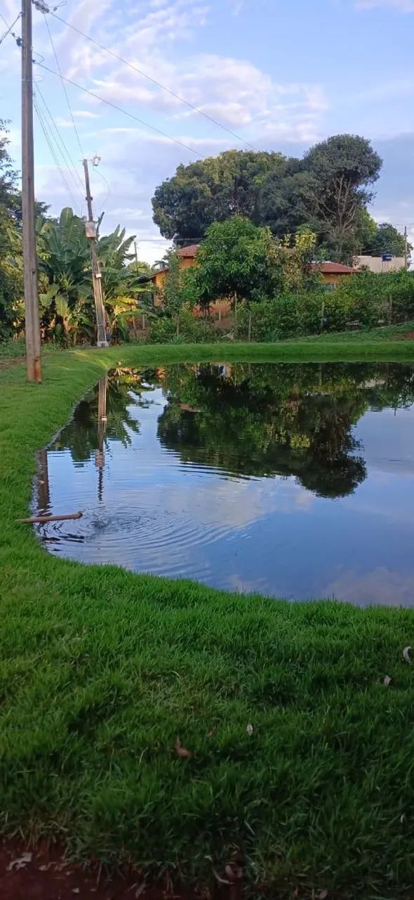 Chacara 3 mil metros,ha 1.5km do centro de Nova veneza  - Foto 2