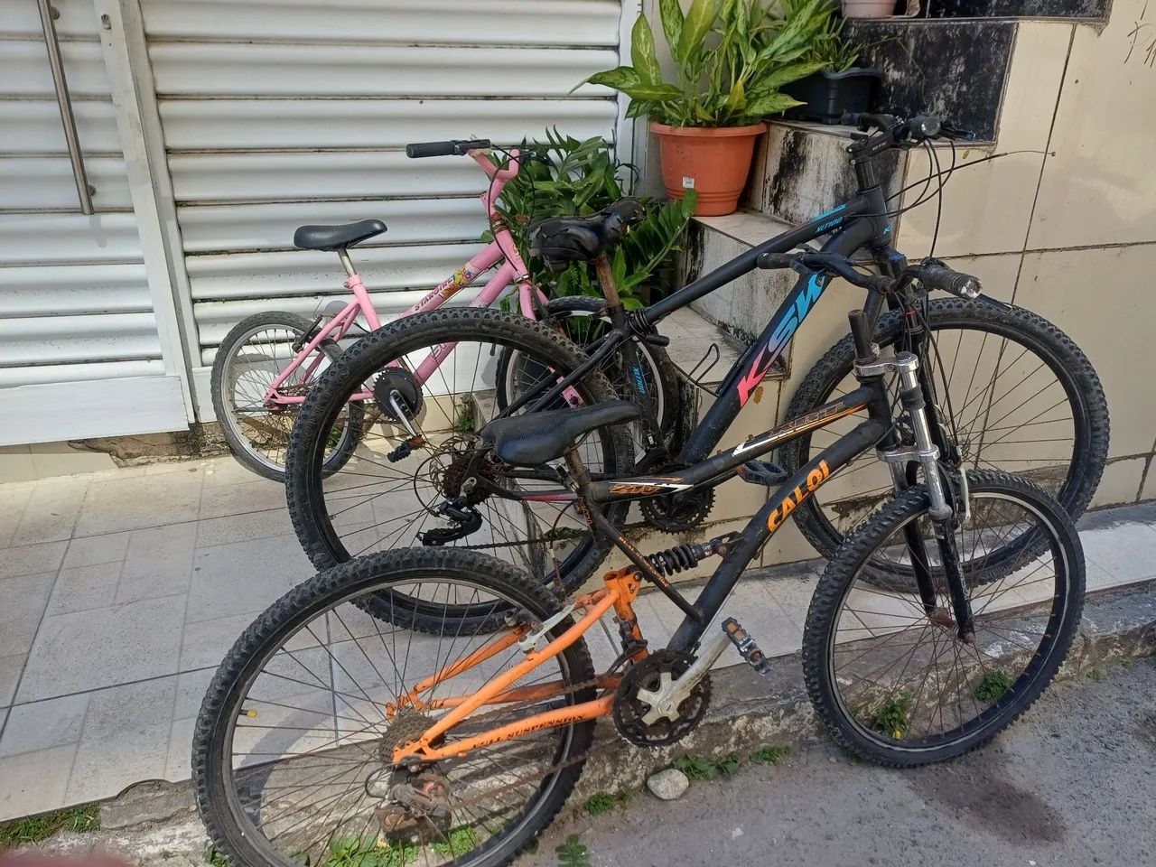 Bicicleta 