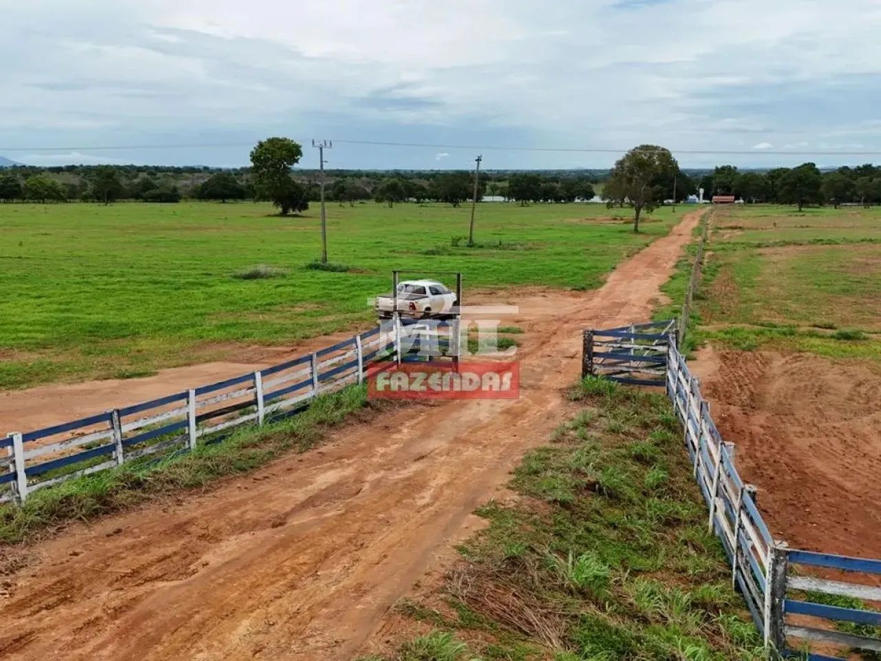 Fazenda 251 Alqueires ( 1.214 hectares ) Peixe - TO - Foto 2