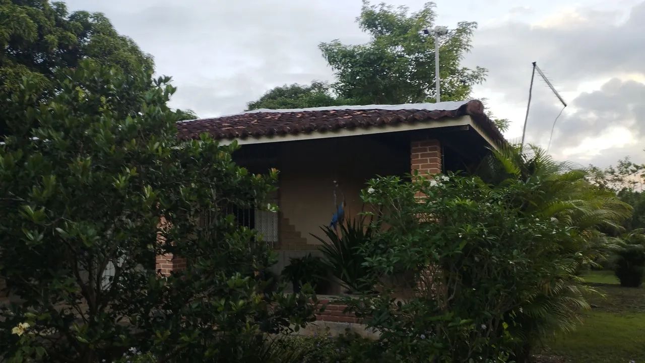 Vendo Sítio no Povoado Aningas São Cristóvão 