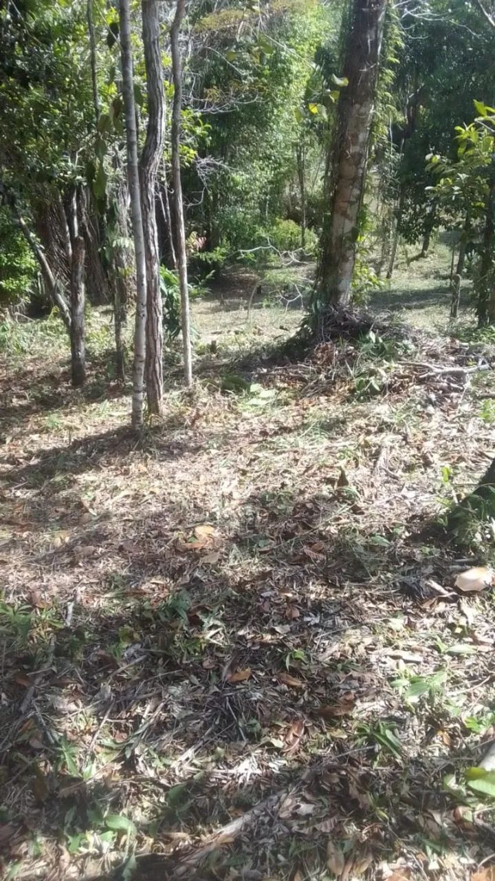 Terreno 1.000m² em Serra Grande - Foto 2