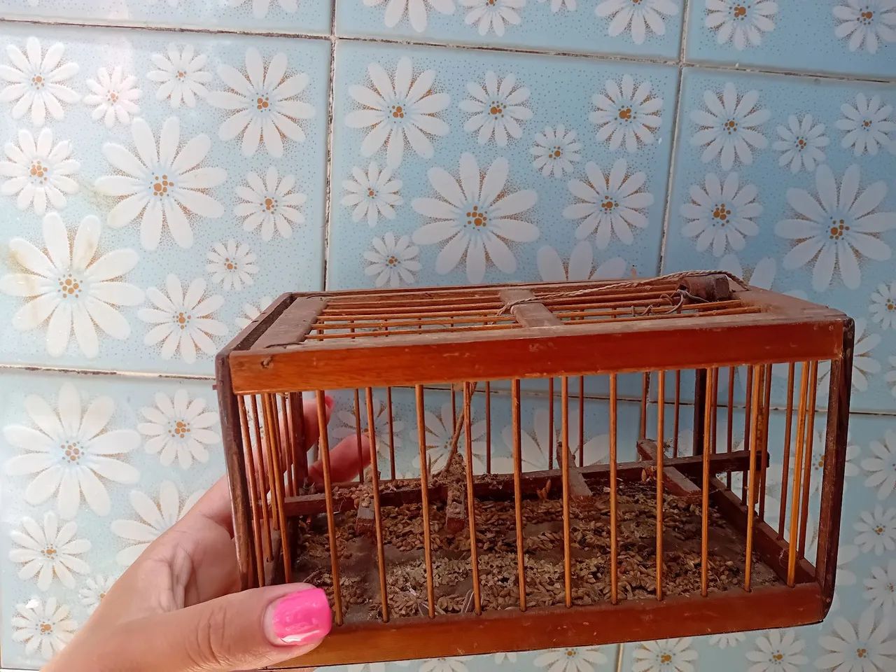 Lote com 5 açalpão por 100 reias - Foto 4