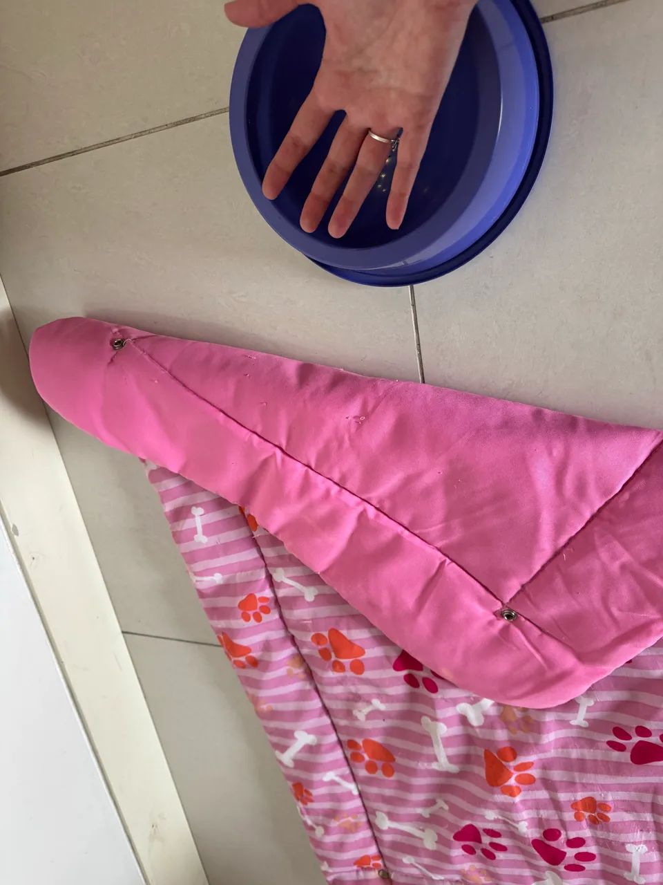 Tapete e pote para PET