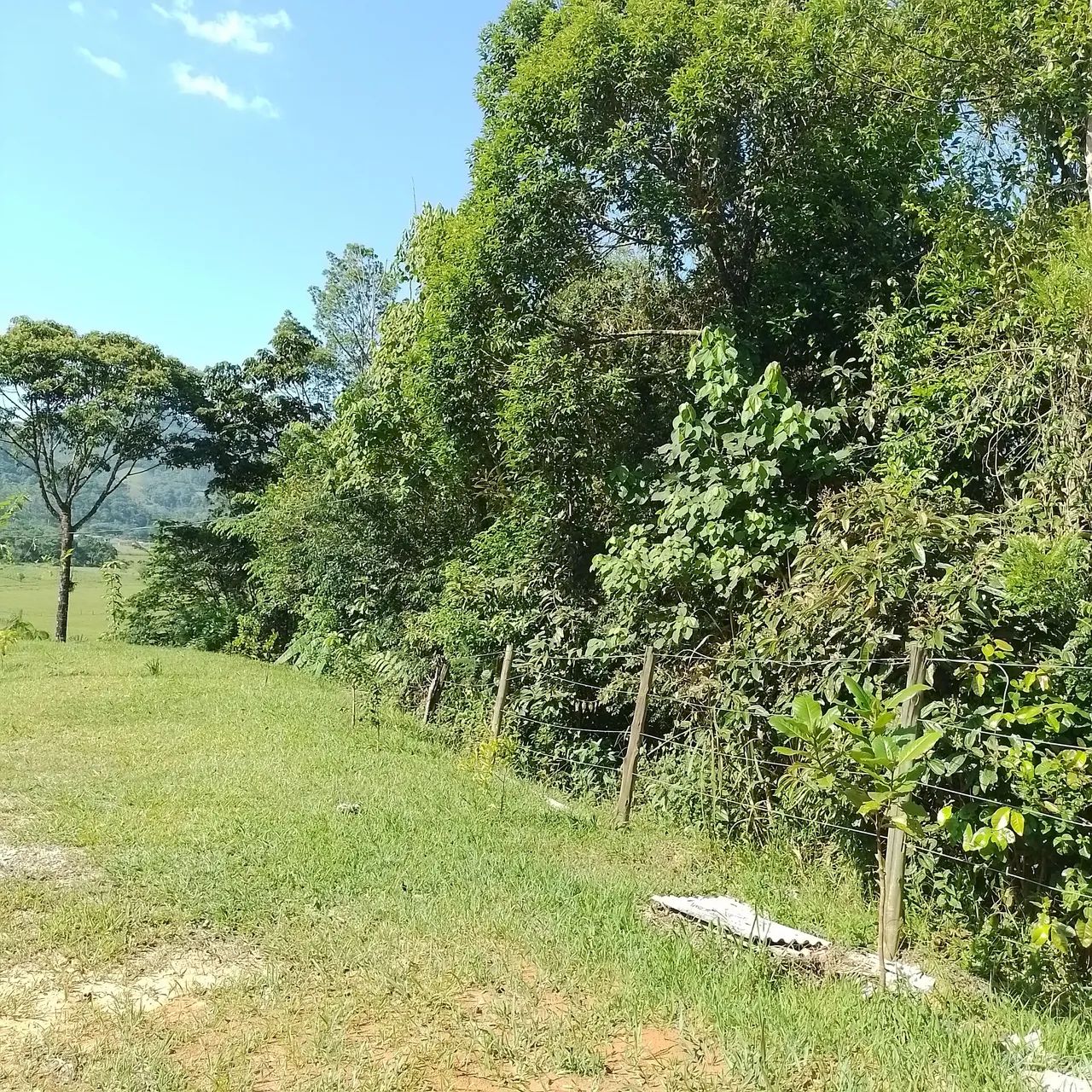 Terreno de 2,000 quadrados com uma casinha pra reforma com agua e luz  - Foto 5