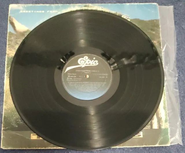 Timbuk 3 - Greetings From - 1986 - LP - Foto 2