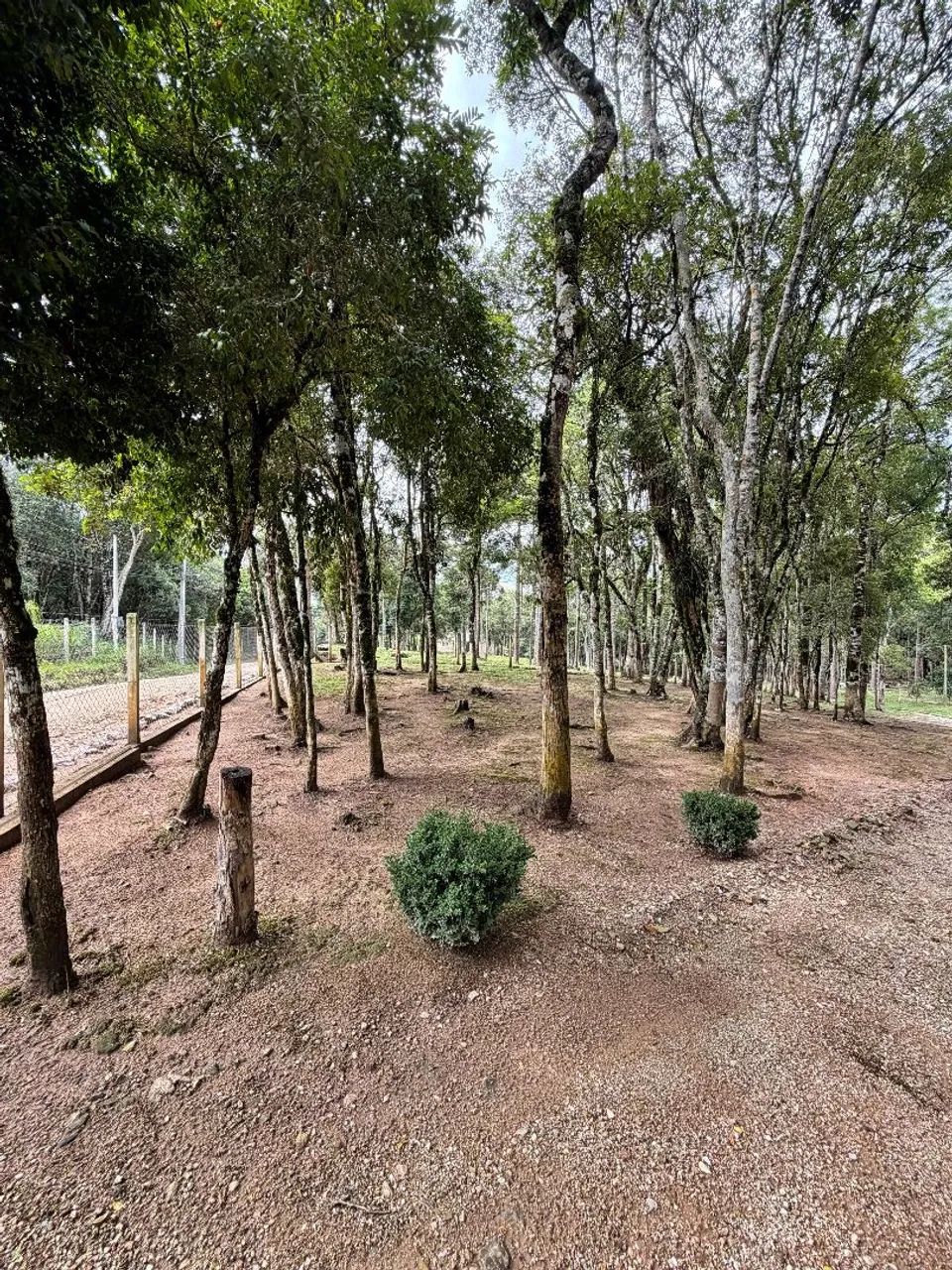Chácara em Mandirituba  - Foto 3