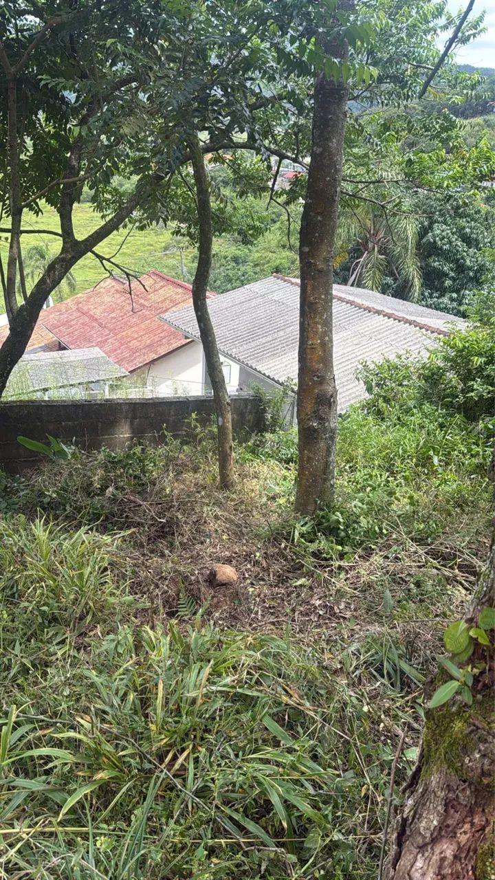 Foto - Florianópolis - Armação do Pântano do Sul