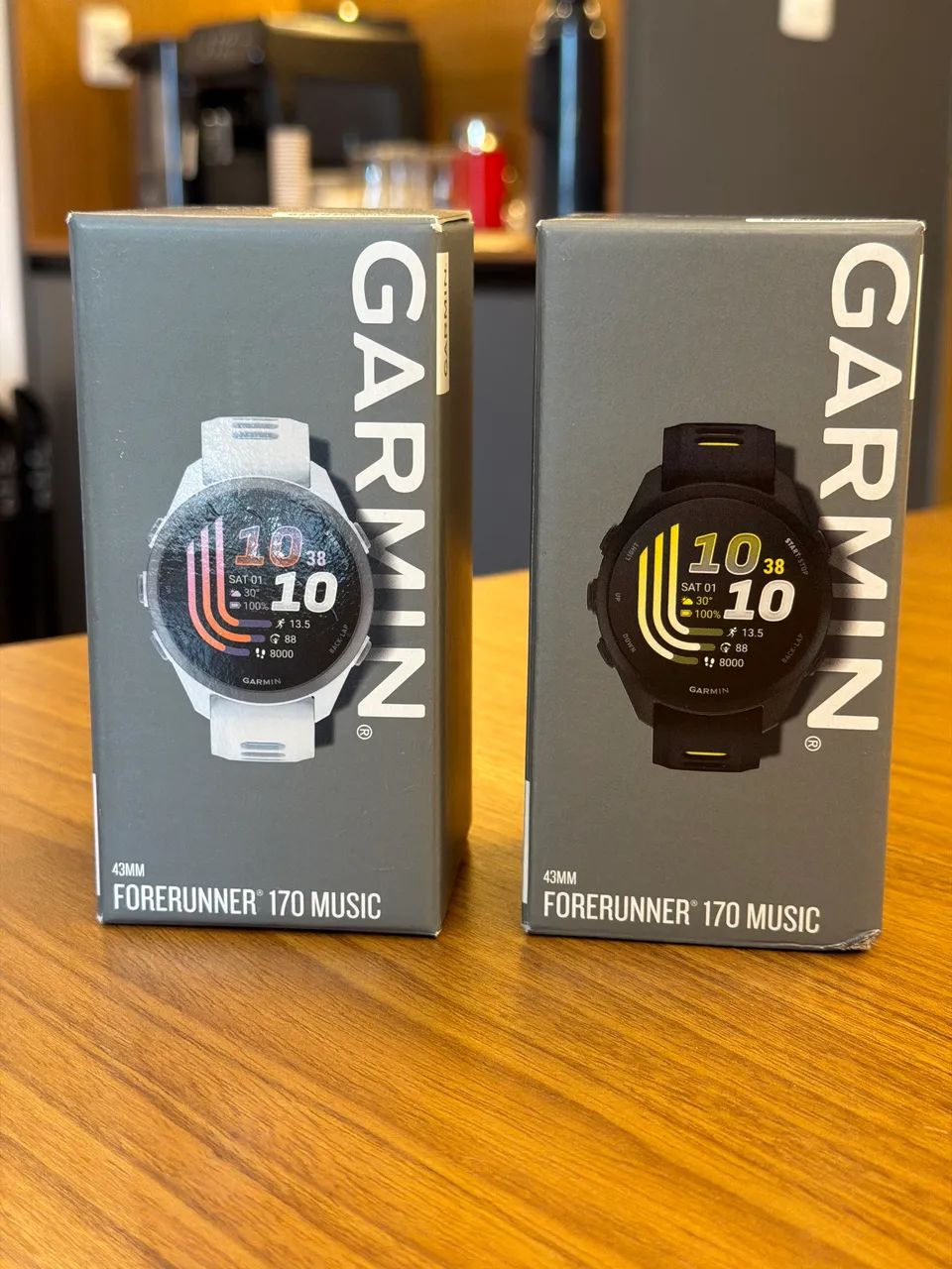 Garmin 170 Music