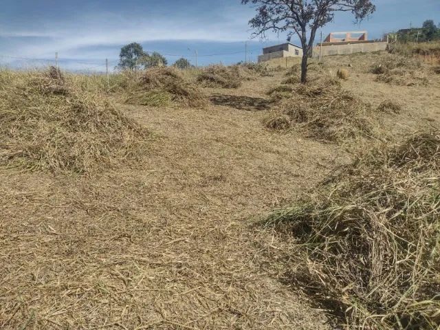 GRANDE OPORTUNIDADE EM CHÁCARA - MG. - Foto 5