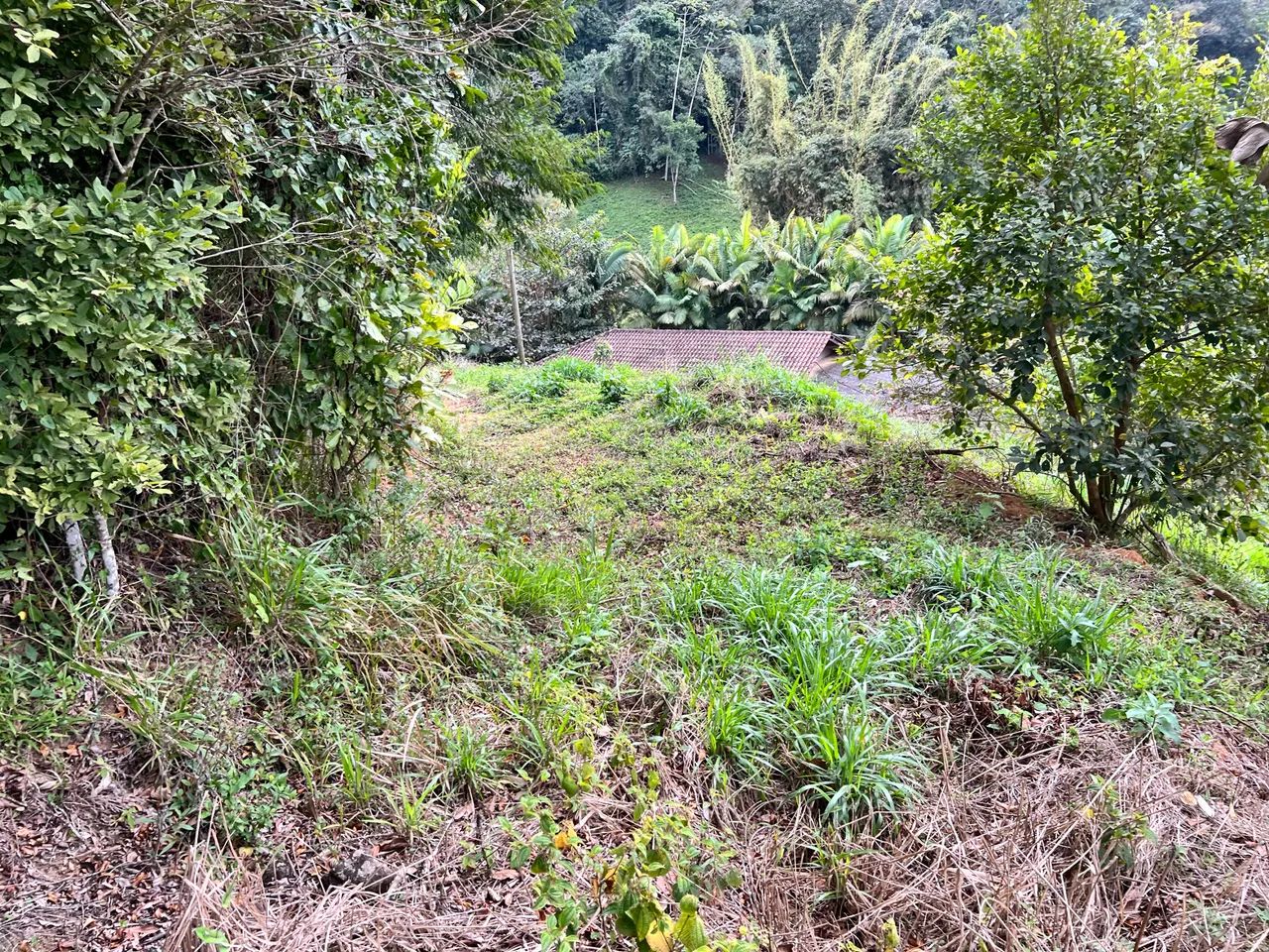 Sítio com pastagem pronto para construir  - Foto 2
