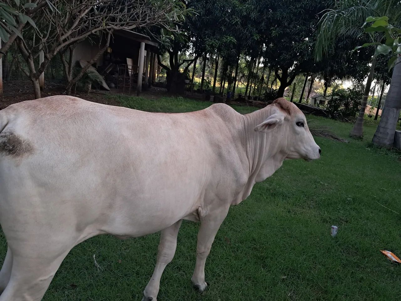 Serviço gerais 