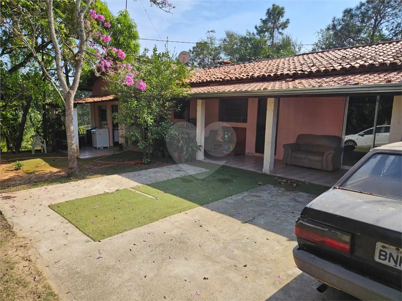 Sitio com 3.000 pés de uvas - Foto 2