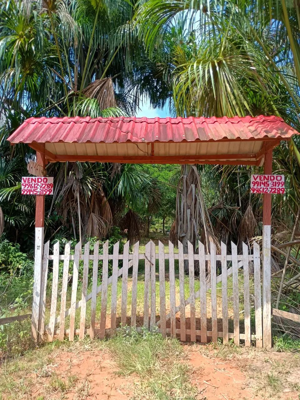 Sítio com igarapé  - Foto 2