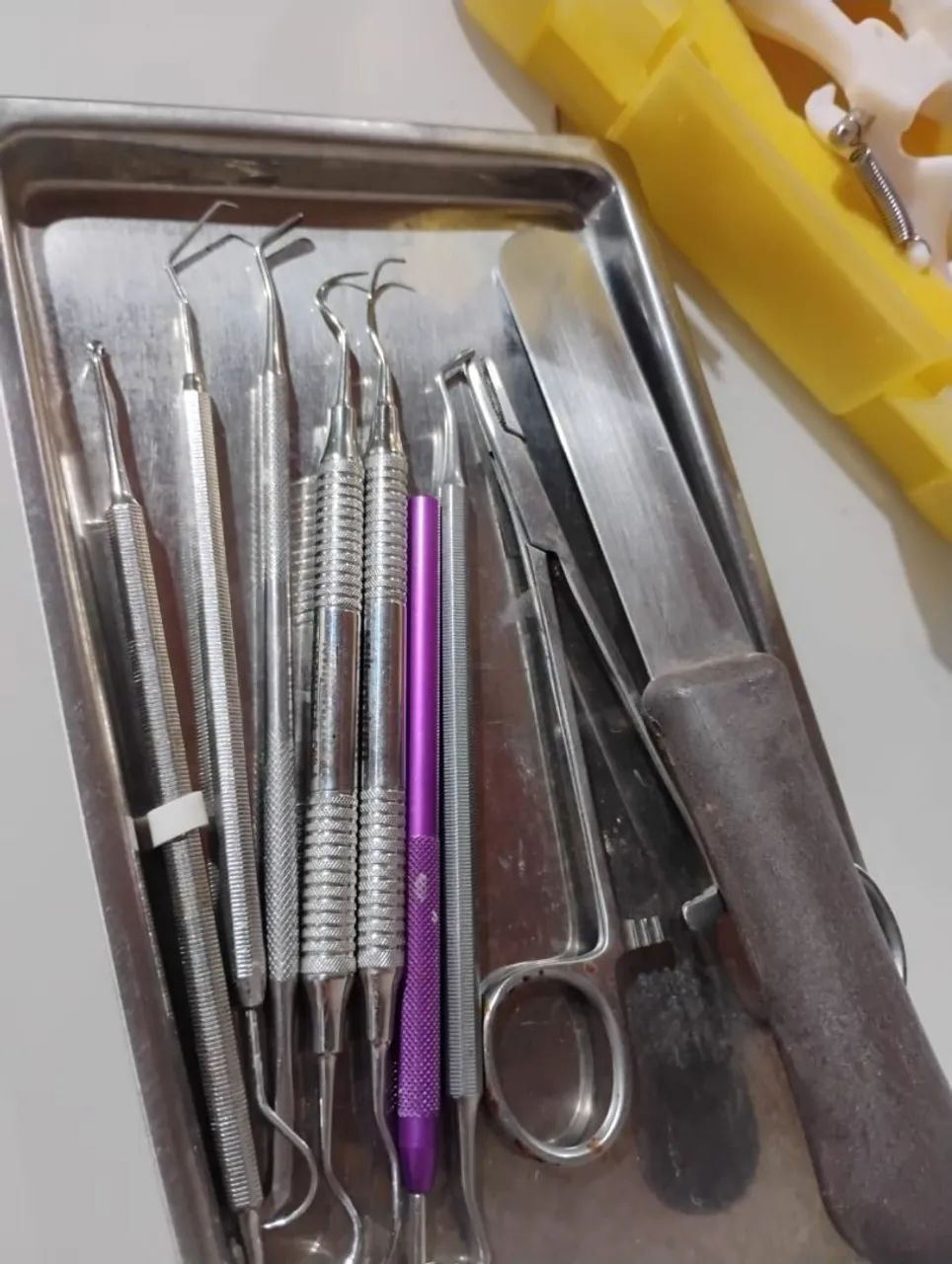 Manequim odontológico  - Foto 3