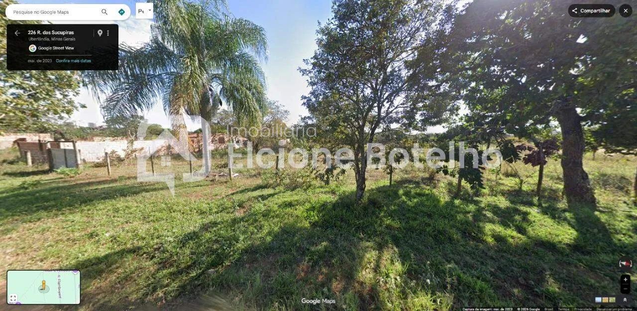 Chácaras à venda, planas com 5000m², ótima oportunidade - Foto 2