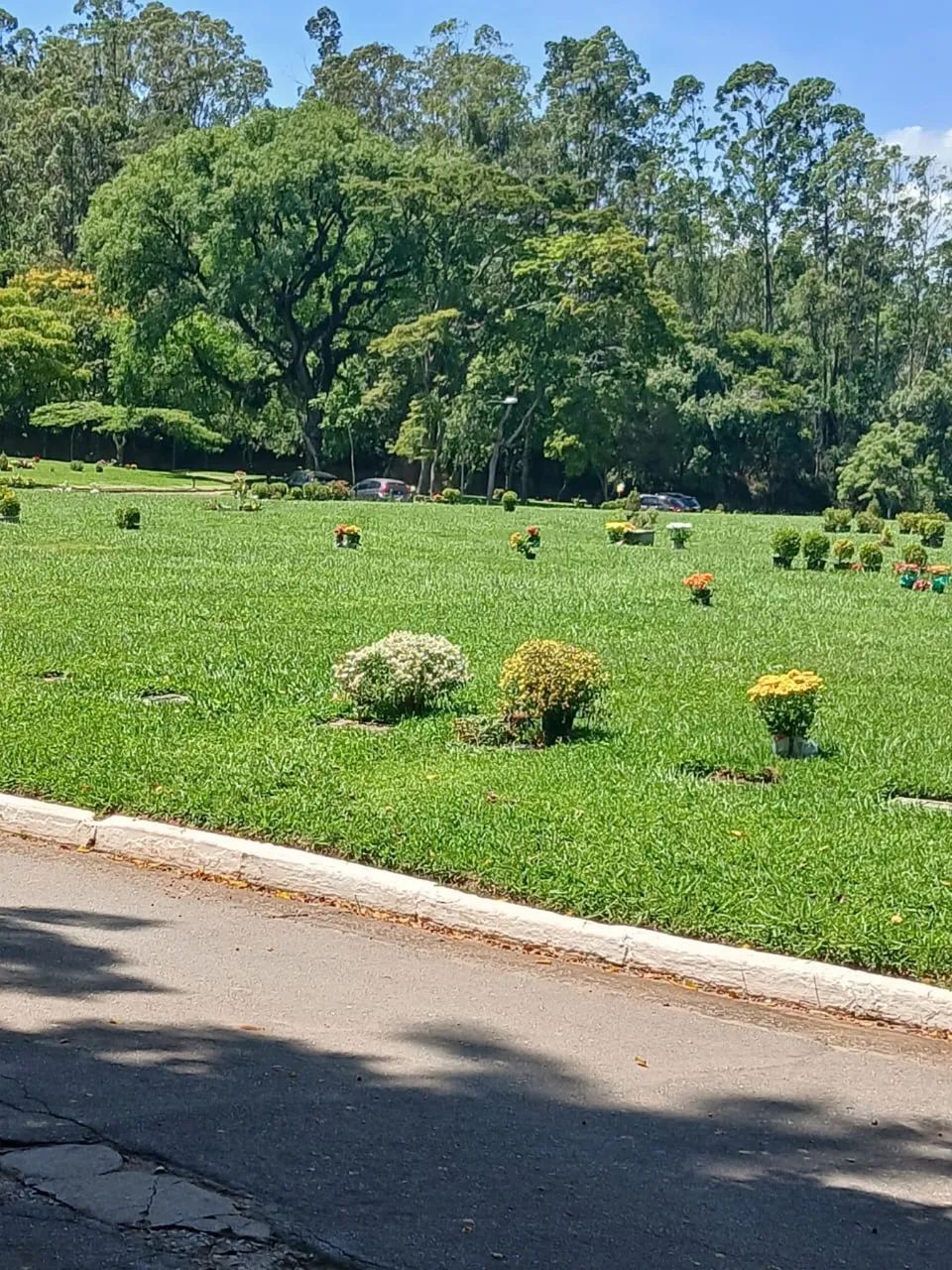 Jazigo ao lado do SENNA - Cemitério Morumby - Foto 3