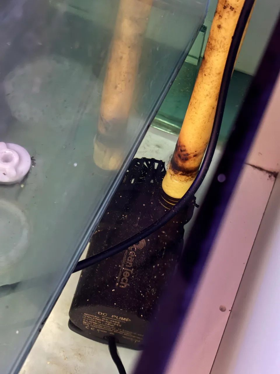 Aquário completo com móvel e sump - Foto 3