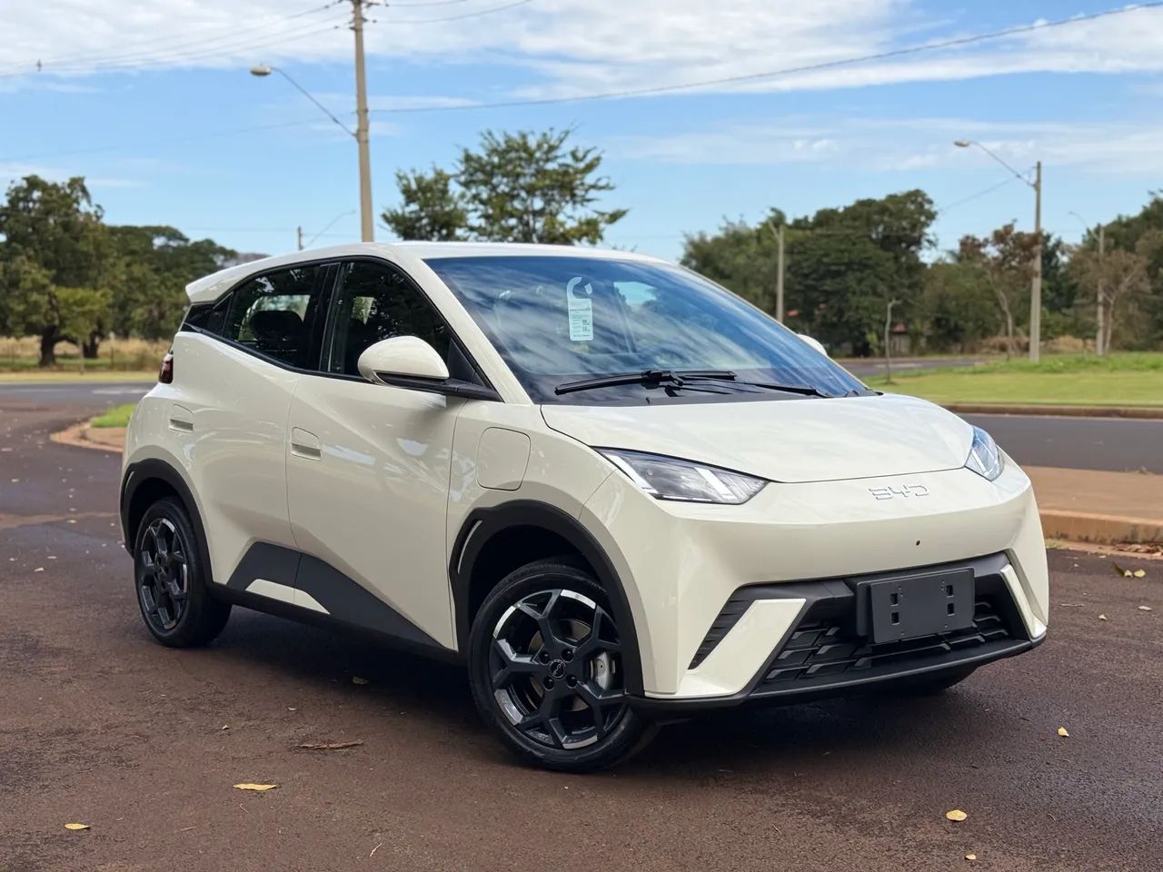 BYD Dolphin Mini (Elétrico) 2027 - Foto 3