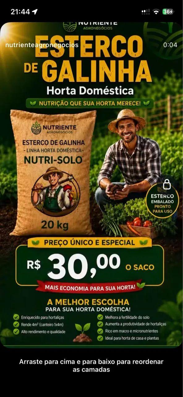 Esterco de galinha 