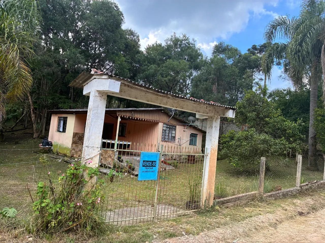Foto - Curitiba - Xaxim