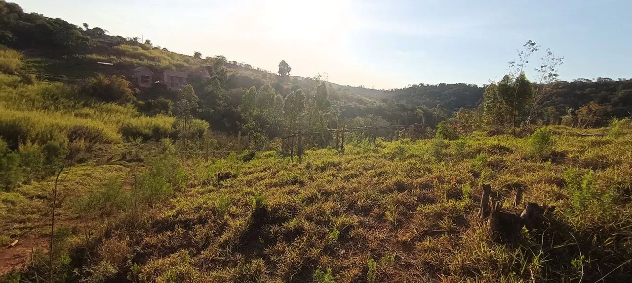Terreno para chácara 1500 m2 - Foto 4