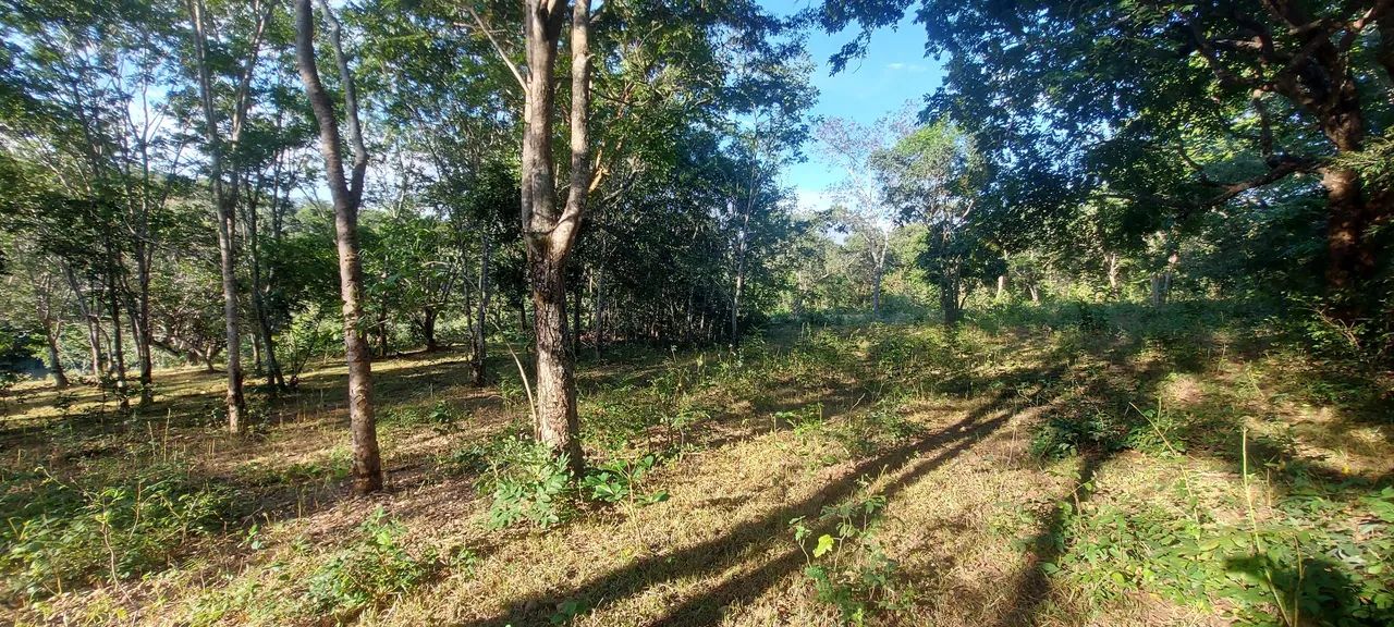 Terreno Comercial as margens da MG 010 - Foto 7