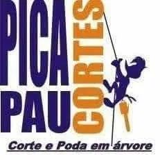 Serviço com motosserra poda árvore  - Foto 4