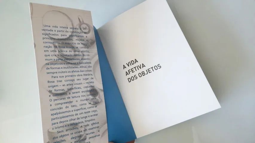 Livro: A Vida Afetiva dos Objetos - Foto 2