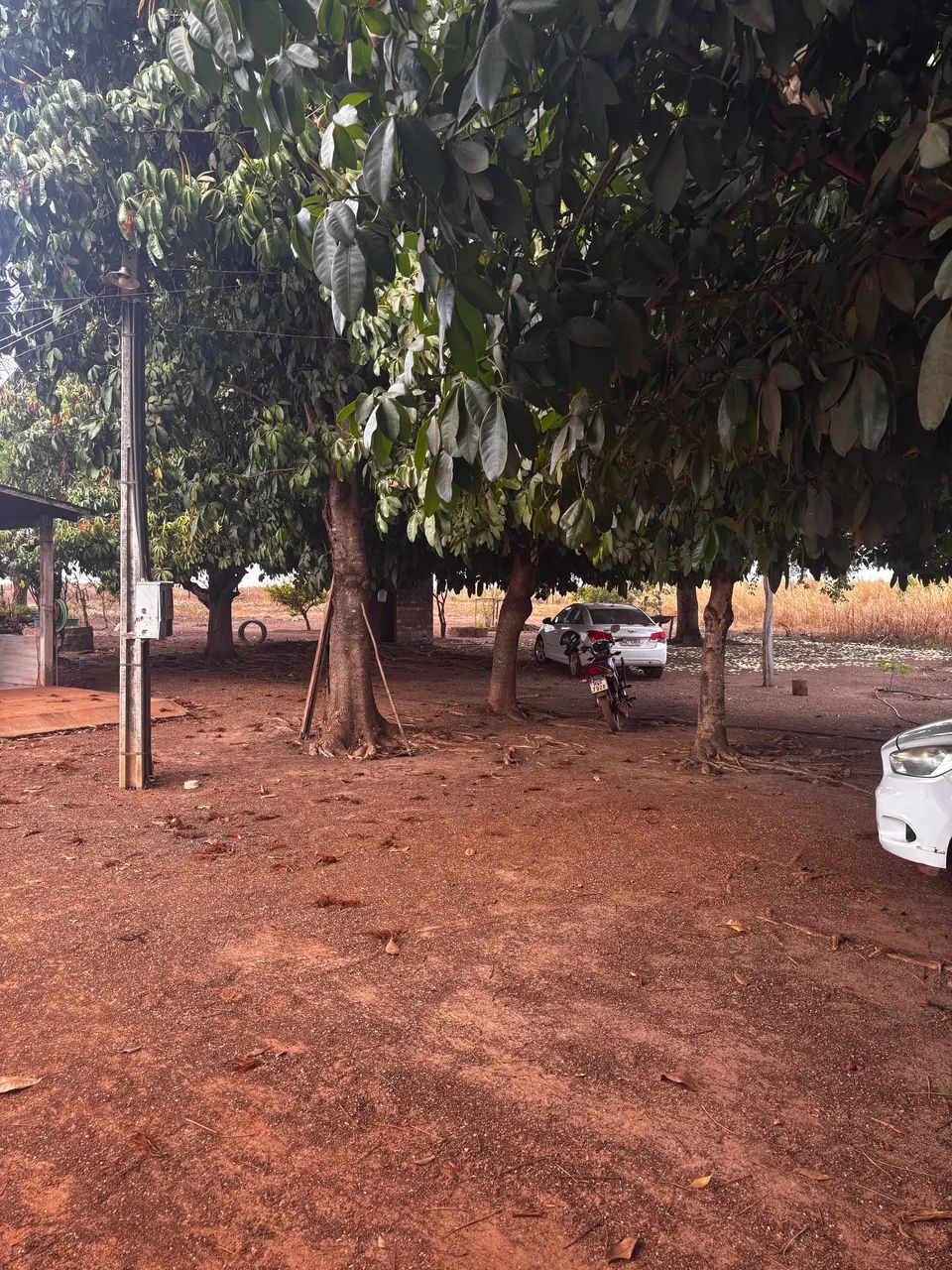 Chácara à Venda em Lagoa da Confusão - TO - Foto 3