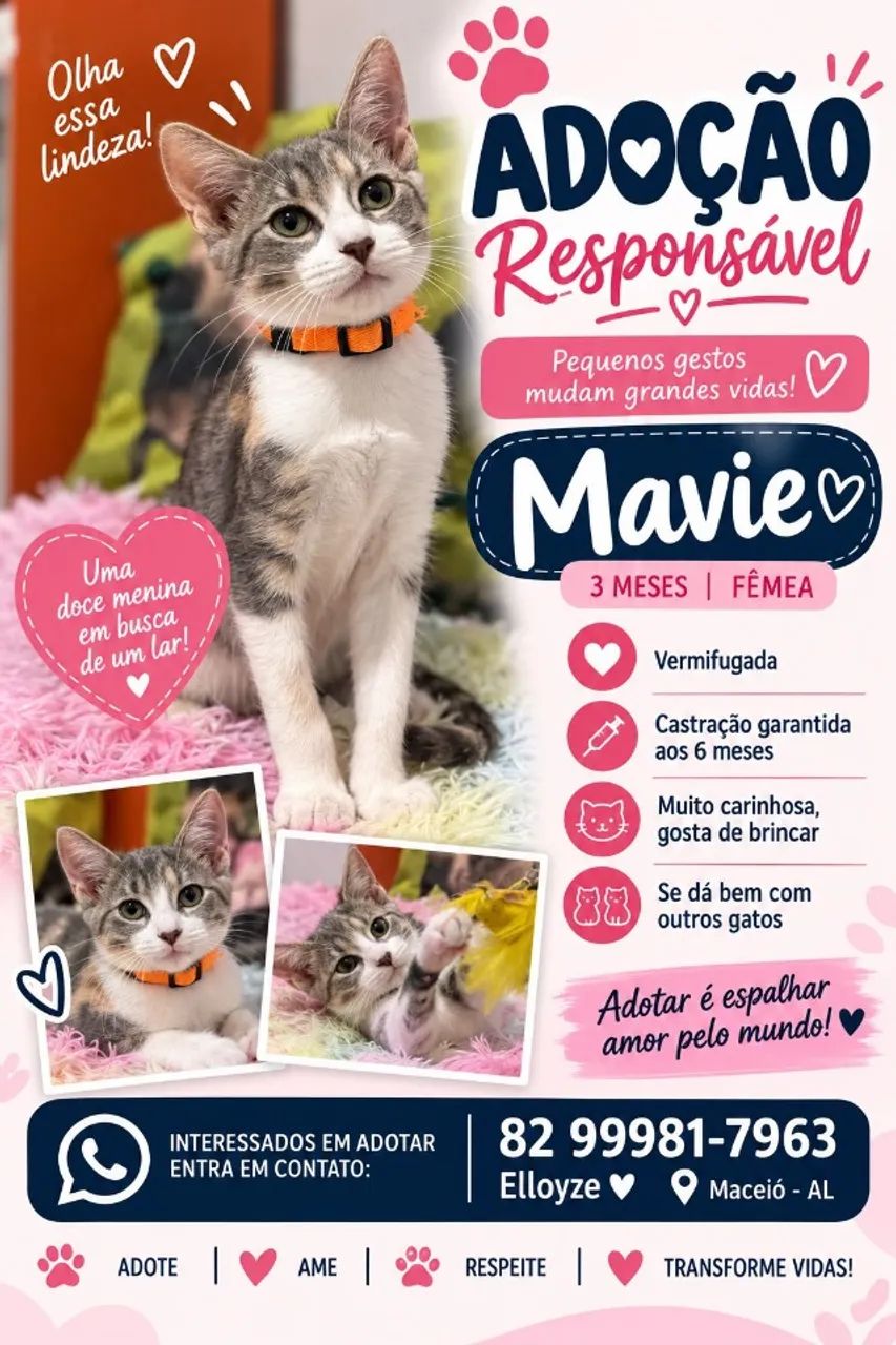 Animal - Foto 3