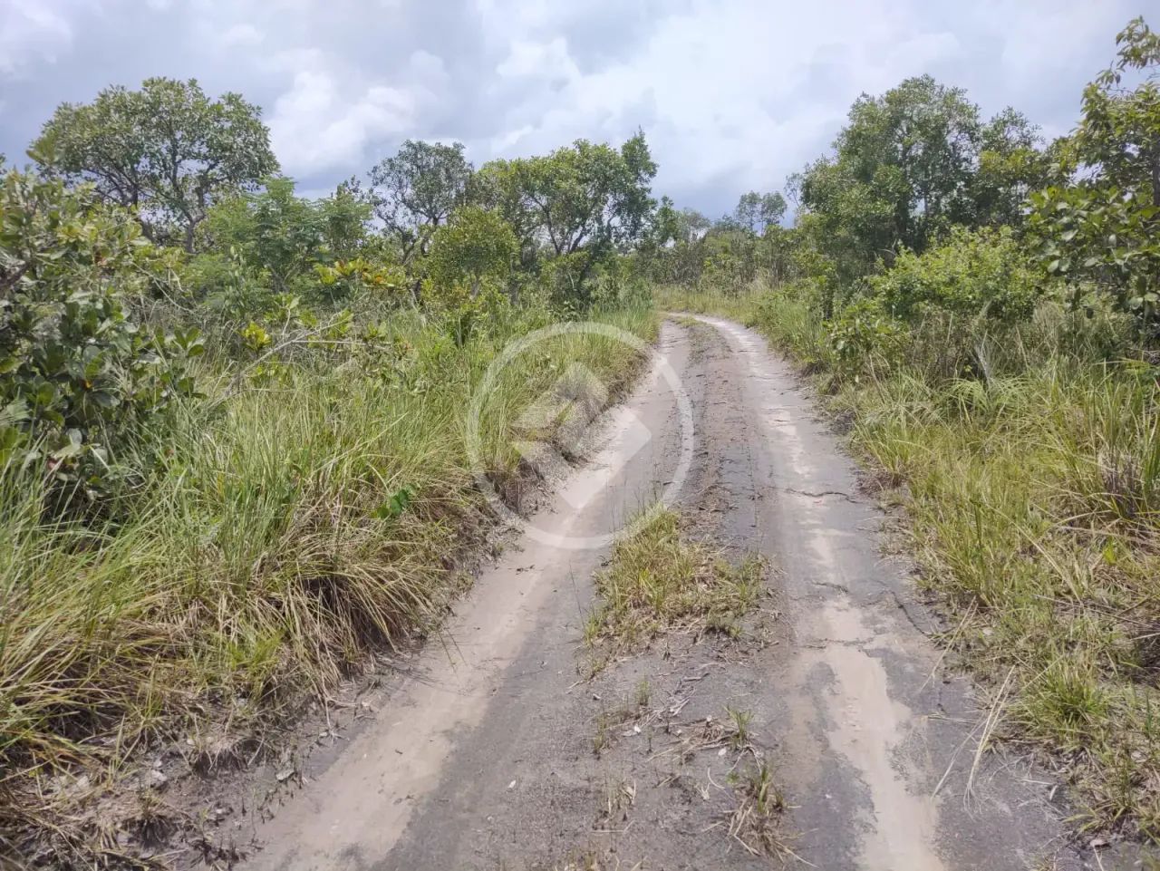 Excelente fazenda com dupla aptidão, a 14 km do munícipio de Colinas do Tocantins! codigo: